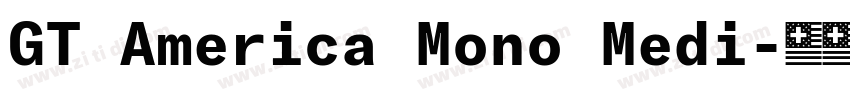 GT America Mono Medi字体转换